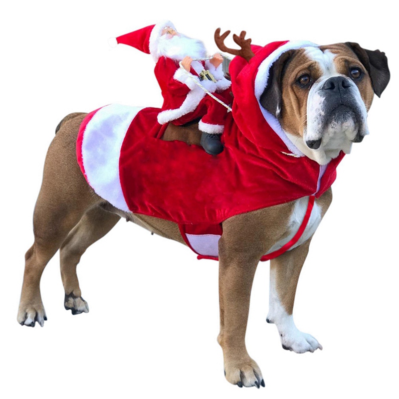 santa puppy outfit